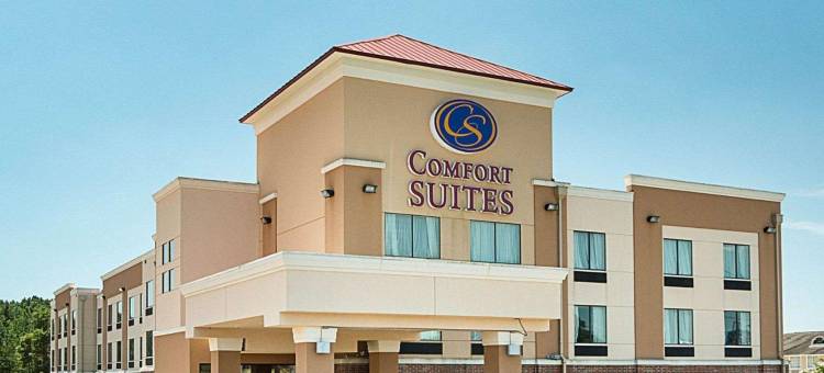 纳基托什舒适套房酒店(Comfort Suites Natchitoches)图片