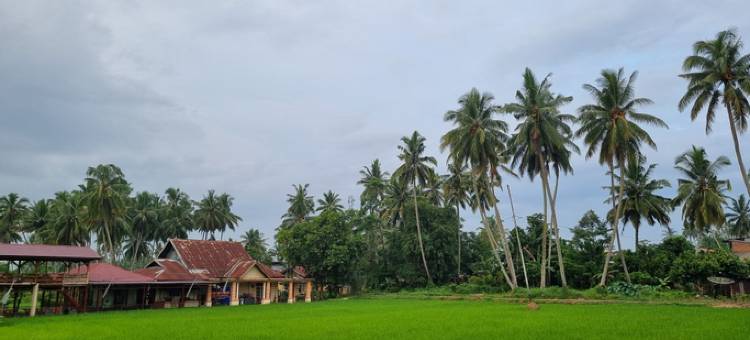 Wafaby客栈(Wafaby Guest House)图片