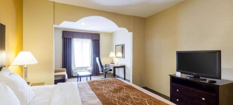 舒适套房酒店(Comfort Inn & Suites)图片