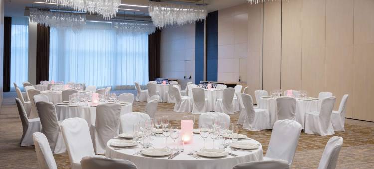 莫斯科伏努科沃希尔顿逸林酒店(DoubleTree by Hilton Moscow — Vnukovo Airport)图片