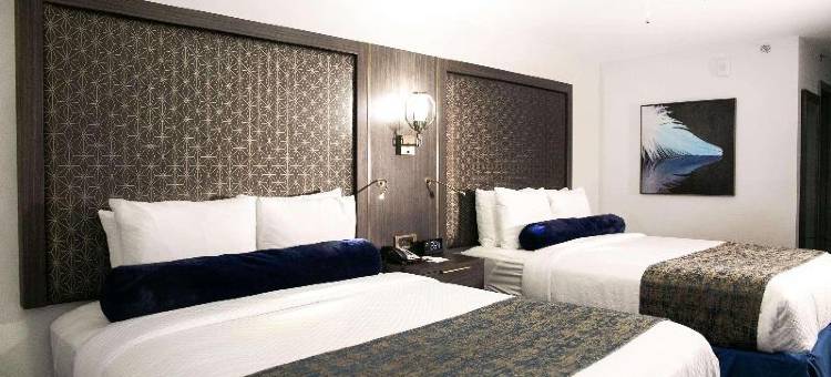 迈克艾伦机场丽笙酒店(Radisson Hotel McAllen Airport)图片