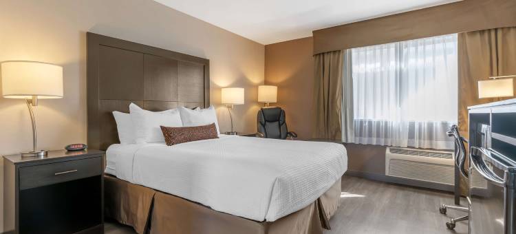 温哥华贝斯特韦斯特酒店(Best Western Inn of Vancouver)图片