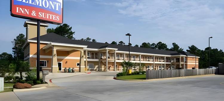 贝尔蒙特套房旅馆(Belmont Inn and Suites Tatum)图片