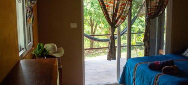 Alice Guesthouse图片