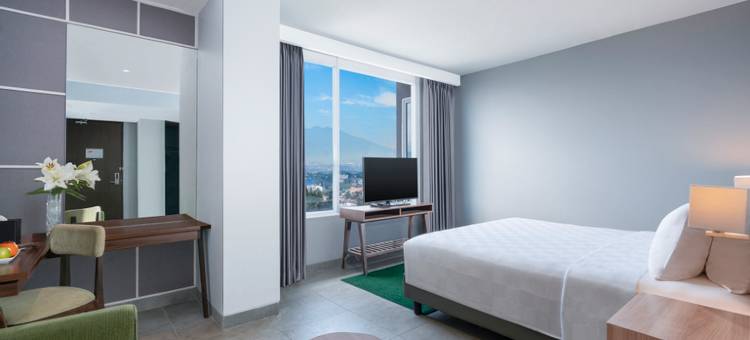 瑞士贝尔茂物旅馆(Swiss-Belinn Bogor)图片