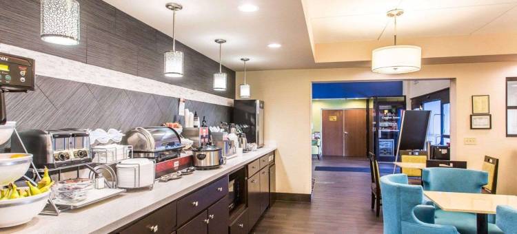 库克维尔舒适套房酒店(Comfort Suites Cookeville)图片