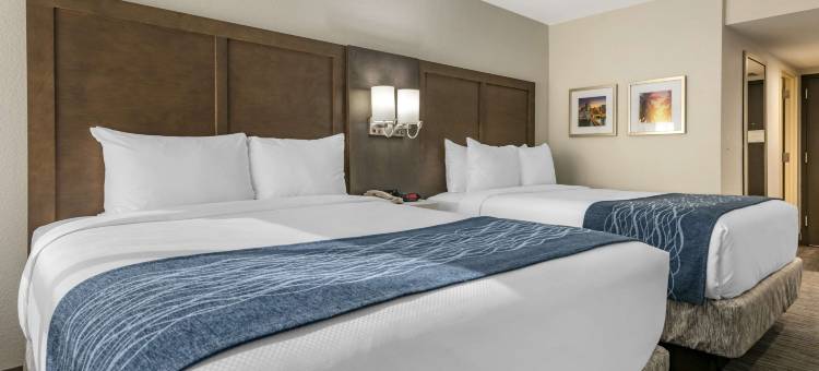布里克尔市中心 - 迈阿密港舒适套房酒店(Comfort Inn & Suites Downtown Brickell-Port of Miami)图片