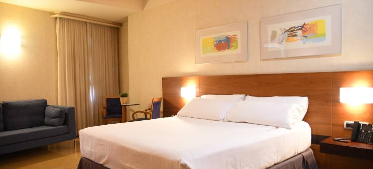 斯考特图德米尔宫酒店(Sercotel Palacio de Tudemir)图片