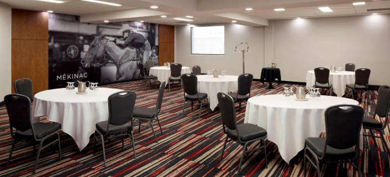 三河市会议中心万豪德尔塔酒店(Delta Hotels Trois Rivieres Conference Centre)图片