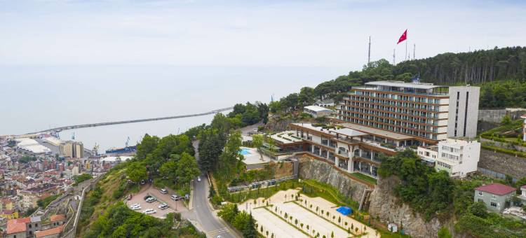 特拉布宗丽笙酒店(Radisson Blu Hotel Trabzon)图片