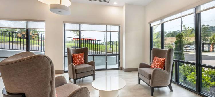 舒适酒店及套房(Comfort Inn & Suites)图片