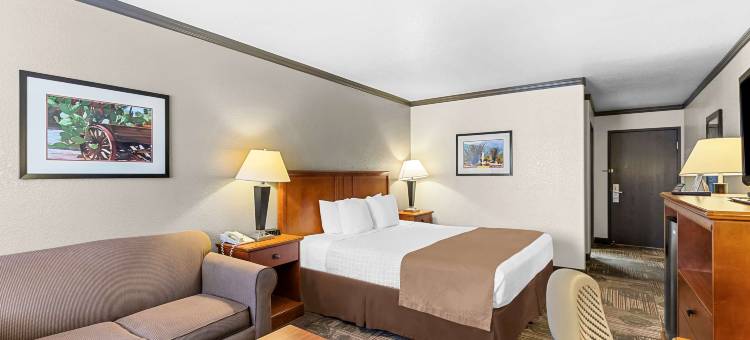 阿帕契章克申贝斯特韦斯特酒店(Best Western Apache Junction Inn)图片