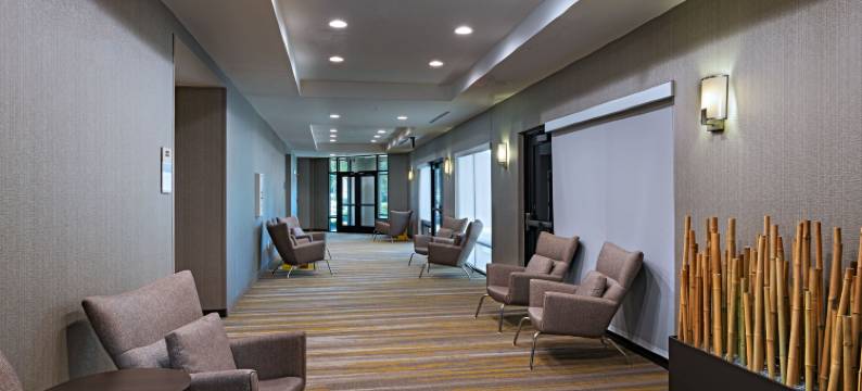 欧文达拉斯DFW国际机场东/拉斯科利纳斯SpringHill Suites酒店(SpringHill Suites Dallas DFW Airport East/Las Colinas Irving)图片