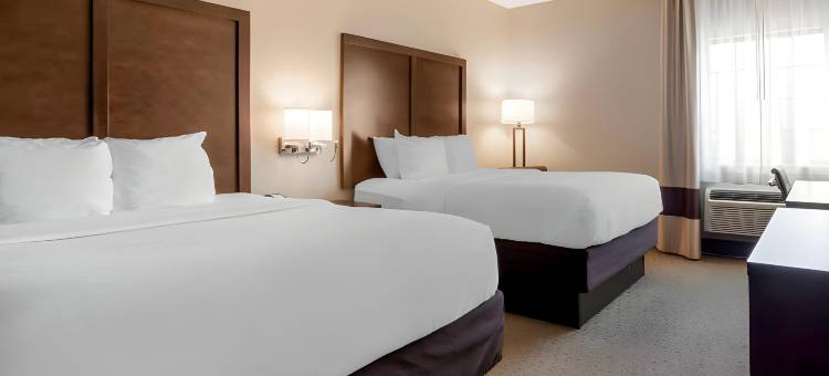 梅肯舒适套房酒店(Comfort Inn & Suites Macon)图片