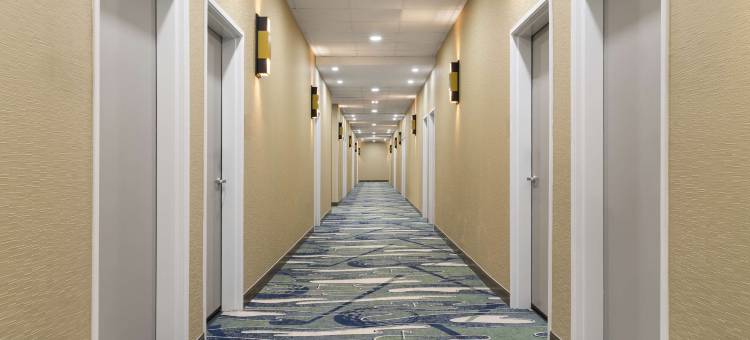 阿马里洛西欢朋酒店及套房(Hampton Inn & Suites by Hilton Amarillo West)图片