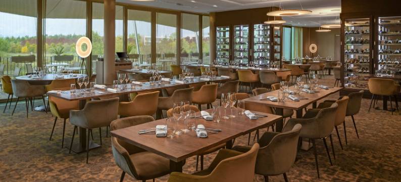 里昂欧洲博览馆希尔顿逸林酒店及度假村(Doubletree by Hilton Lyon Eurexpo & Spa)图片