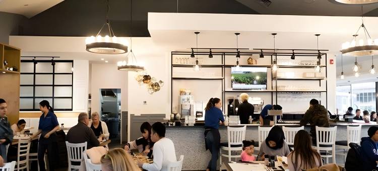 雅绅特温哥华机场公寓(Accent Inns Vancouver Airport)图片