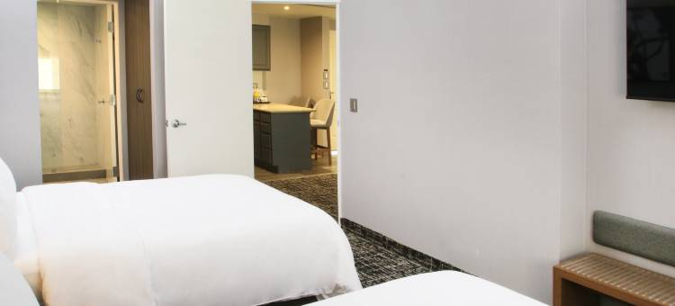 voco Saltillo Suites图片