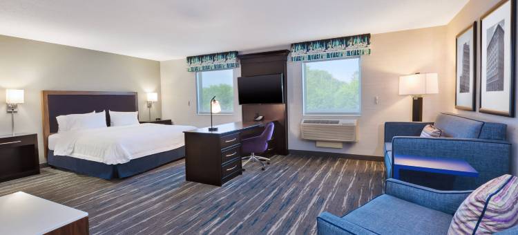希尔顿欢朋套房酒店-弗林特大布兰克(Hampton Inn & Suites Flint/Grand Blanc)图片