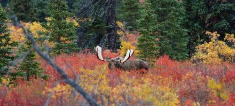 2 King Bedrooms Each with Full Bath, Amazing Views!图片