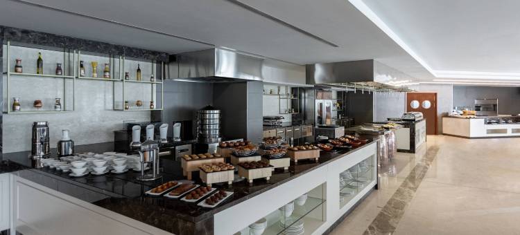 阿尔及尔巴布埃祖瓦尔万豪酒店(Algiers Marriott Hotel Bab Ezzouar)图片