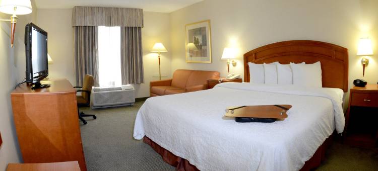 温莎希尔顿欢朋套房酒店(Hampton Inn and Suites by Hilton Windsor)图片