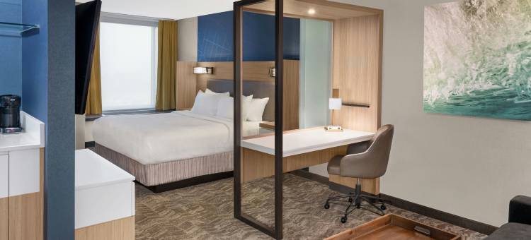 霍兰万豪SpringHill Suites酒店(SpringHill Suites Holland)图片