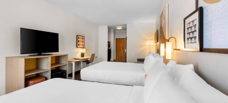 Spark by Hilton Calhoun图片