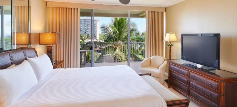 阿斯顿卡纳帕利海滩惠勒酒店(Aston at the Whaler on Kaanapali Beach)图片