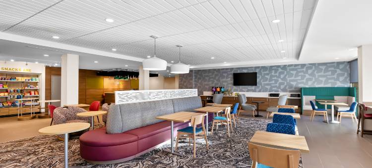 希尔顿逸林家庭套房酒店-亨德森维尔(Home2 Suites by Hilton Hendersonville)图片