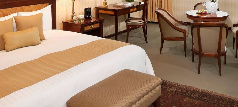 利马美利亚酒店(Melia Lima)图片