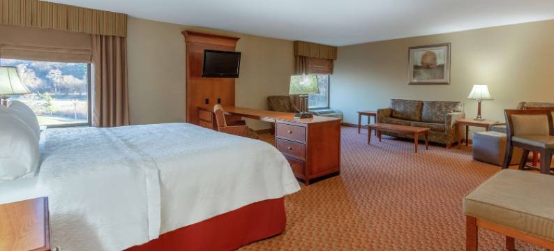 东皮奥里亚欢朋酒店(Hampton Inn Peoria-East at the Riverboat Casino)图片