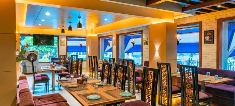 Treebo 蓝屋顶(Treebo the Blue Roof)图片