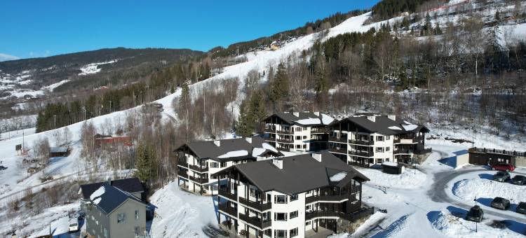 索丽雅高山公寓酒店(Alpin Apartments Sørlia)图片