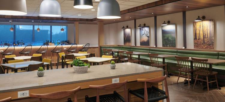 Fairfield Inn & Suites Chicago O'Hare图片