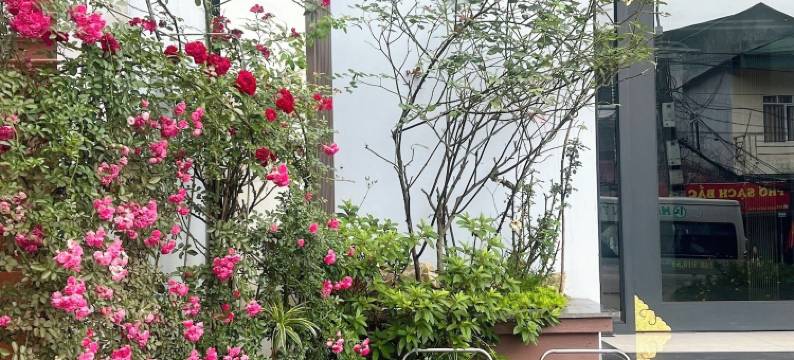 杏园酒店(Apricot Garden Hotel Sapa)图片