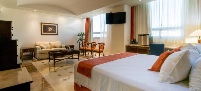 波萨里卡中央酒店(Hotel Poza Rica Centro)图片