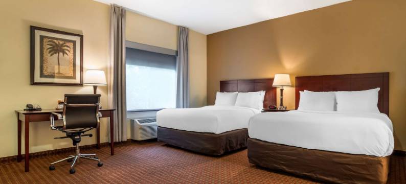 舒适酒店及套房克雷斯特维尤南(Comfort Inn & Suites Crestview South)图片