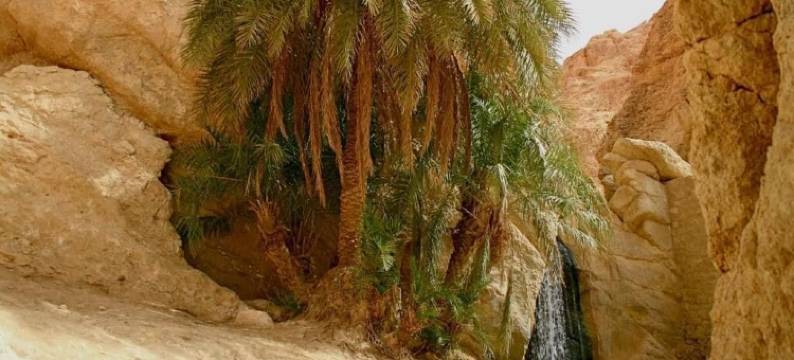 阿特拉斯绿洲别墅酒店(Villa Atlas Oasis)图片