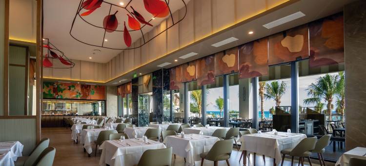 库库尔坎里乌宫酒店-限成人-全包(Riu Palace Kukulkan - Adults Only - All Inclusive)图片