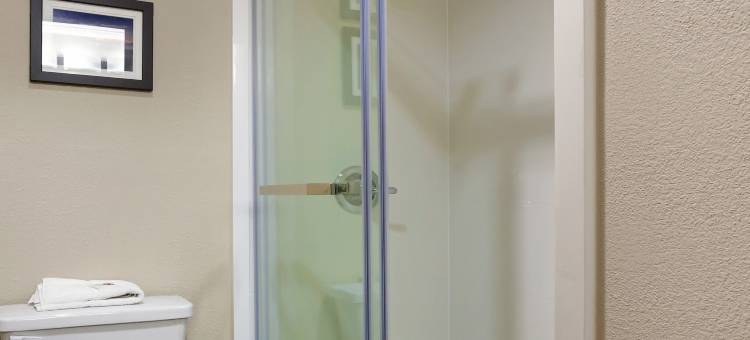 绍姆堡霍夫曼庄园舒适酒店(Comfort Inn Hoffman Estates - Schaumburg)图片