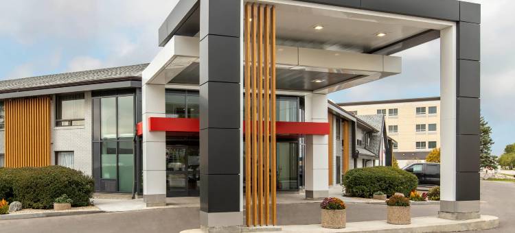 舒适酒店(Comfort Inn)图片