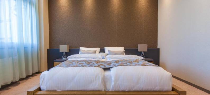 温特图尔广场酒店(Plaza Hotel Winterthur)图片