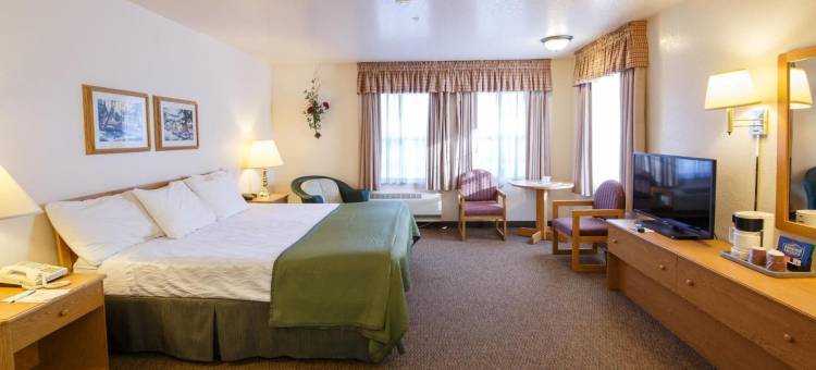莫菲汽车旅馆(Murphys Inn Motel)图片