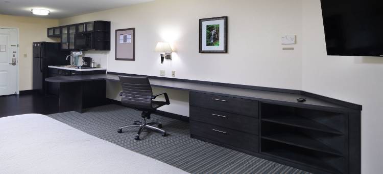 Candlewood Suites 纽华克南(Candlewood Suites Newark South - University Area)图片