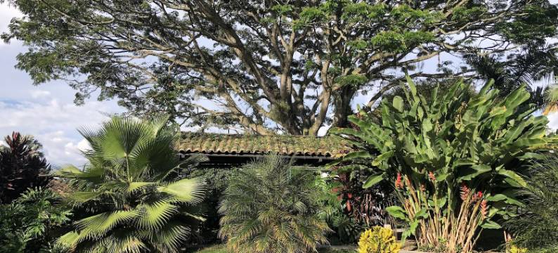 巴西村舍酒店(Finca Hotel Brasilia)图片