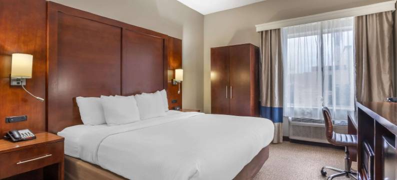 康威舒适套房酒店(Comfort Inn & Suites Conway)图片