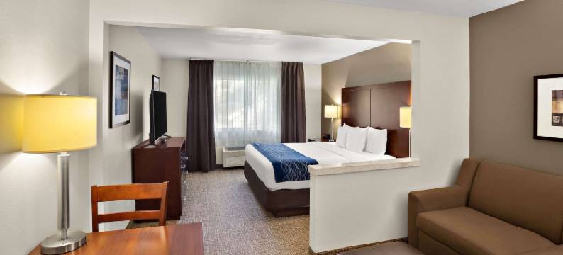 莱西舒适酒店(Comfort Inn Lacey - Olympia)图片