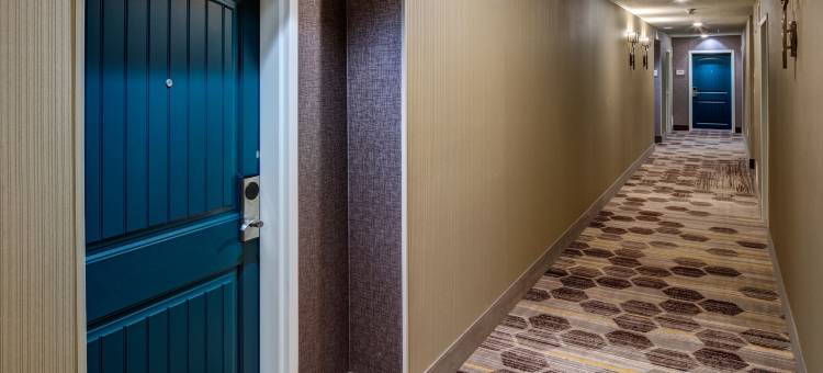 盐湖城市中心Homewood Suites by Hilton(Homewood Suites by Hilton Salt Lake City-Downtown)图片