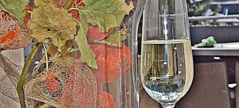 默思格拉克度假屋酒店(Ferienhaus Moselglück)图片